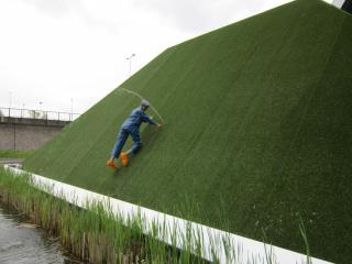IMG_3274.JPG