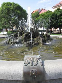 IMG_7768.JPG