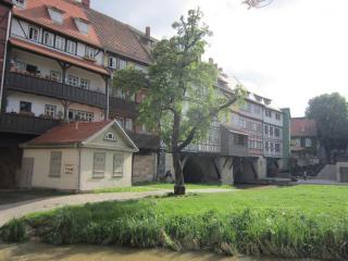 IMG_4013.JPG