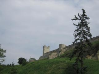 IMG_7202.JPG