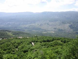 IMG_6778.JPG