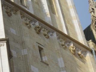 IMG_5875.JPG