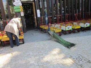 IMG_5526.JPG