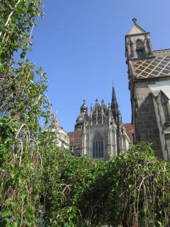 IMG_7725.JPG