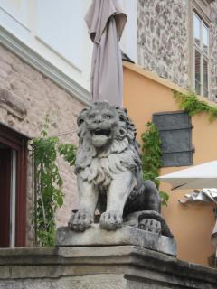 IMG_5904.JPG