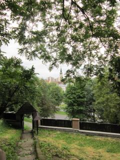 IMG_5350.JPG