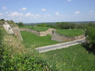 IMG_7430.JPG