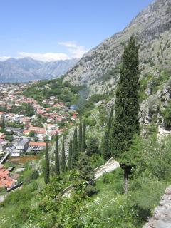 IMG_6631.JPG