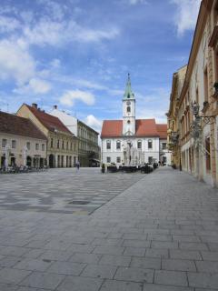 IMG_5808.JPG