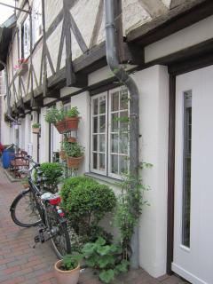 IMG_2543.JPG