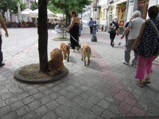 IMG_7022.JPG