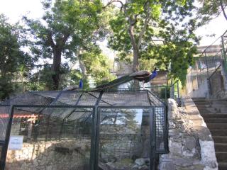 IMG_6214.JPG