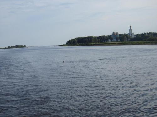 IMG_7998.JPG