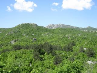 IMG_6746.JPG