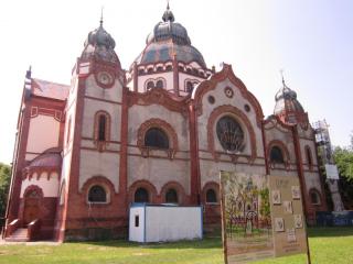 IMG_7594.JPG