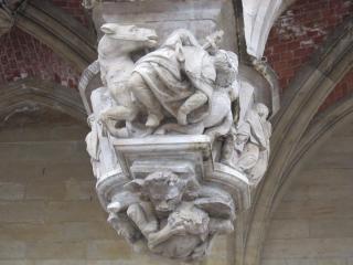IMG_3555.JPG