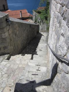 IMG_6569.JPG