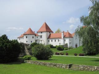 IMG_5826.JPG