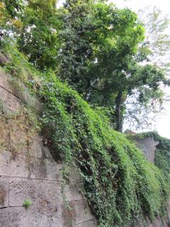 IMG_5963.JPG