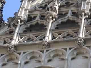 IMG_7736.JPG