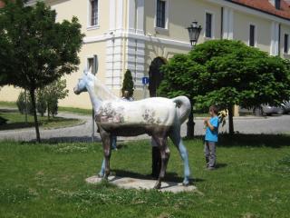 IMG_7424.JPG