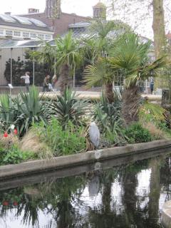 IMG_2711.JPG
