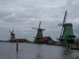 IMG_3005.JPG