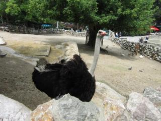 IMG_7102.JPG