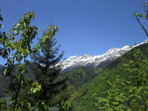 IMG_0305.JPG