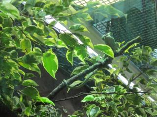 IMG_5728.JPG