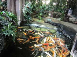 IMG_5704.JPG