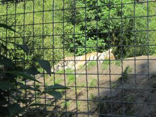 IMG_5574.JPG