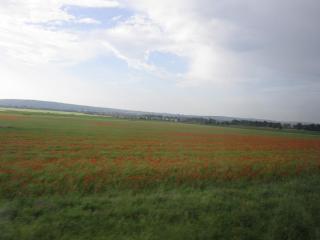IMG_7710.JPG