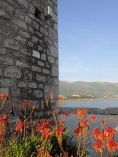IMG_6838.JPG