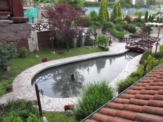 IMG_6984.JPG