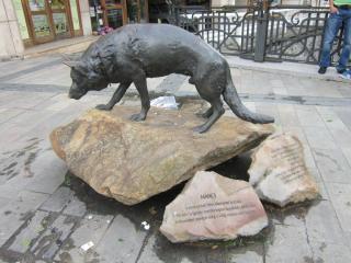 IMG_5410.JPG