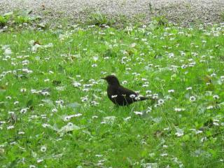 IMG_5798.JPG