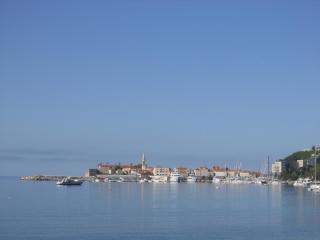 IMG_6497.JPG