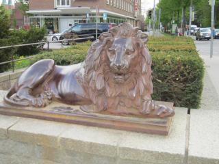 IMG_2578.JPG
