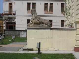 IMG_7357.JPG