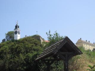 IMG_7397.JPG