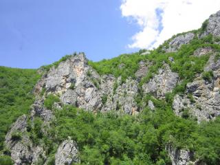 IMG_6950.JPG