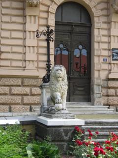 IMG_7358.JPG