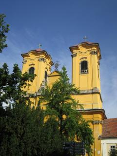 IMG_7638.JPG