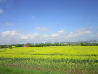 IMG_3957.JPG