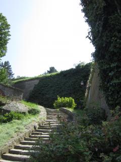 IMG_7404.JPG