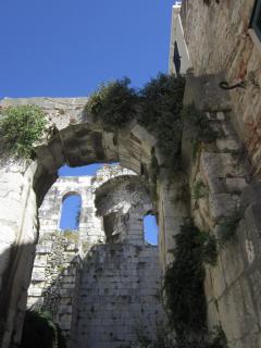 IMG_6117.JPG