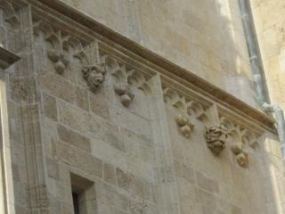 IMG_5874.JPG