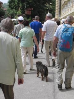 IMG_7356.JPG