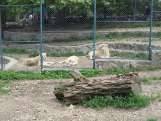 IMG_7129.JPG